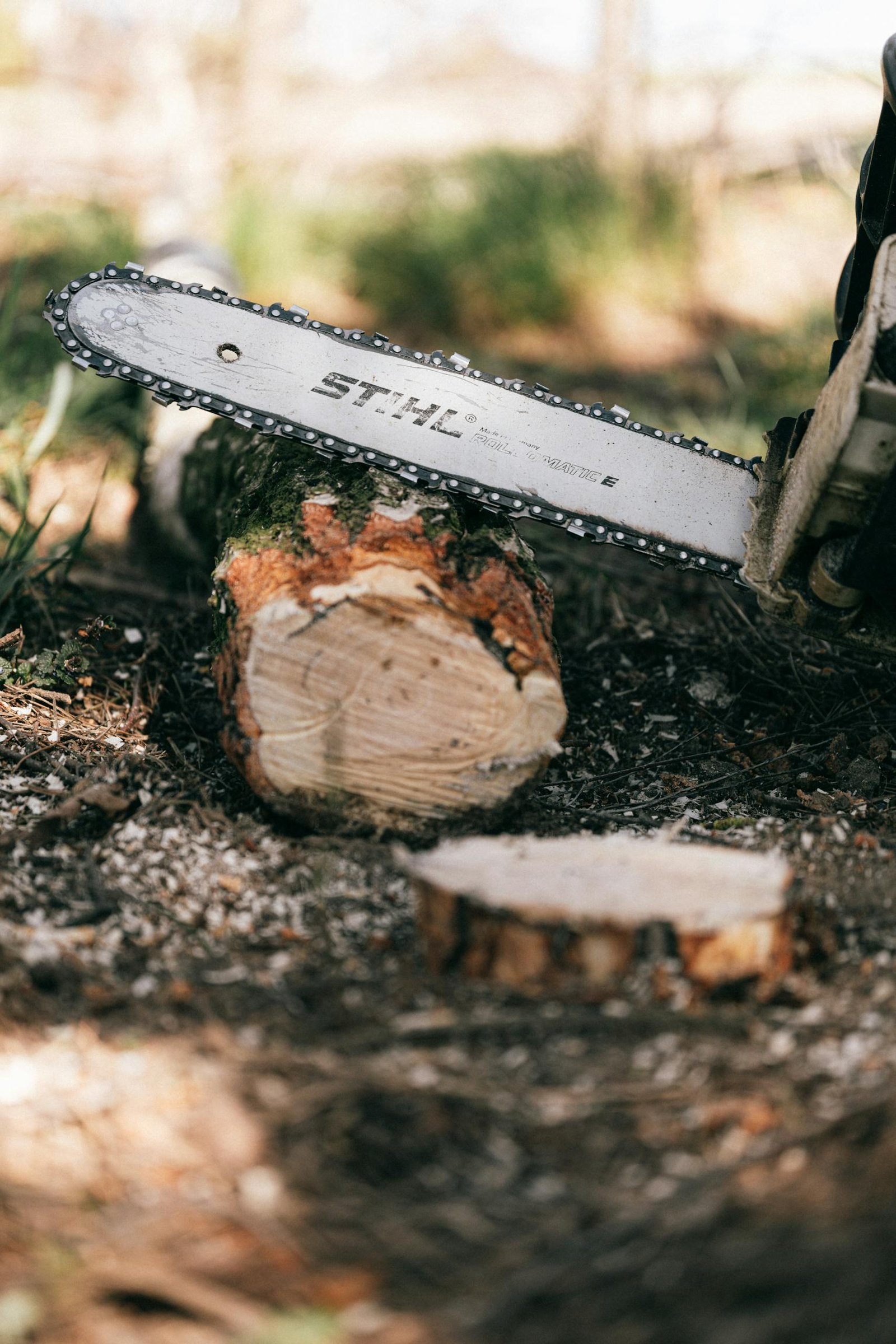 Close-up of a chainsaw cutting a tree log outdoors, highlighting wood texture.